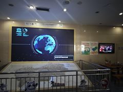 -延庆地质公园博物馆