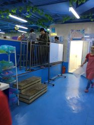 -子木乐园婴儿游泳馆(水晶港店)