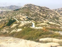 iphone_upload_pic-洋山深水港