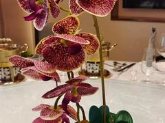 店内布置-江海肥牛(桃园南路店)