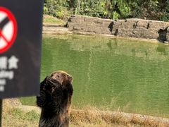 -杭州野生动物世界