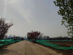 -汉长安城未央宫国家考古遗址公园