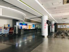 -上海旅游集散中心(万体站)