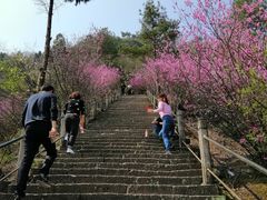 -天台山赤城山景区