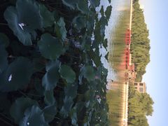 甲丁坊-甲丁坊