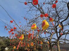-潭柘寺景区