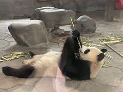 -宁波野生动物园