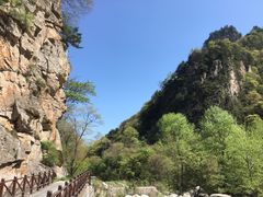 -青峰峡国家森林公园