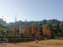 -南漈山