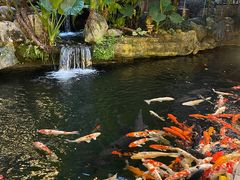 -新世纪大酒楼·30年南海菜