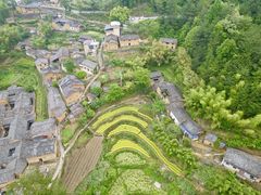 -杨家堂村