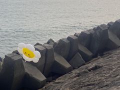 -青岛海滨风景区