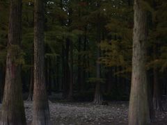 -丹山赤水风景名胜区