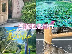 -白渔泡湿地公园