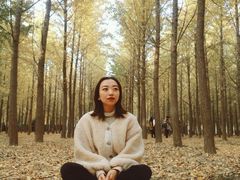-汉景帝阳陵博物院