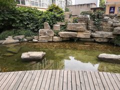 -小杨烤肉(朱雀店)