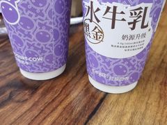 -一只酸奶牛(曲江龙湖星悦荟店)