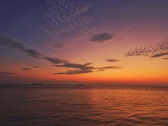 -上海吴淞炮台湾国家湿地公园