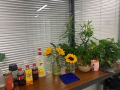 -新航道雅思托福·留学·考研培训(人民广场校区)