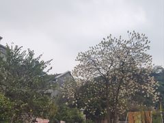 -窑埠古镇