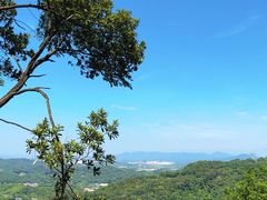-广州市帽峰山景区