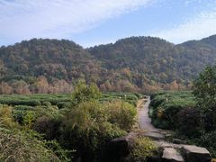 -中国茶叶博物馆(双峰馆区)