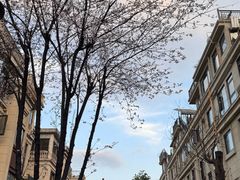 -两河城市森林公园