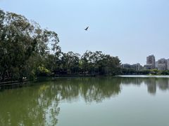 -西湖公园(鼓楼区)