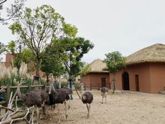 -祥源·阜阳生态乐园