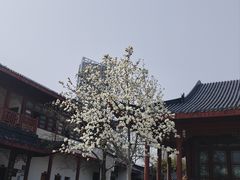 -堤角公园