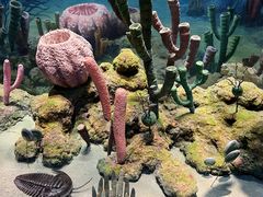 -浙江自然博物院(杭州馆)