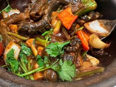 -侨美·唐荔园·40年地道粤菜