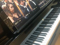 -柏斯琴行(汾阳店)