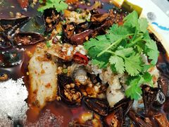麻辣水煮鱼-马头巷·食景园(苏州总店)