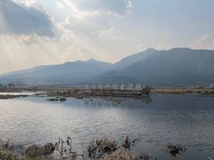 -腾冲北海湿地