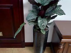 -宅天下装饰·匠心筑家(春熙店)