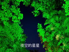 -西安国际创新人才交流中心•药浴温泉