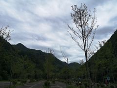 -牛背梁国家森林公园