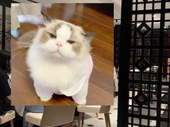 -新花城蟹粉馆(乌鲁木齐店)