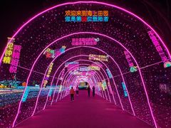 -海上田园