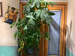 -马路边边串串香(双井直营店)