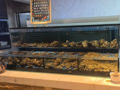 -冀粤香海鲜自助餐厅(西美五洲店)