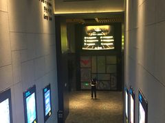 -万达影城(金平万达广场IMAX店)