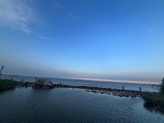 -上海吴淞炮台湾国家湿地公园