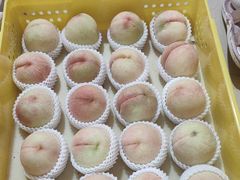 -老袁家蜜桃农场·阳山水蜜桃