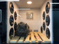 -米卢宠物公园(广华居店)