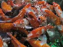 -太平洋海底世界