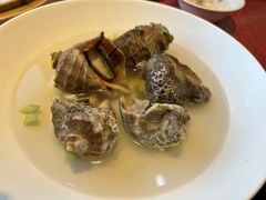 海螺-韩记海鲜饺子(隆仁世家店)