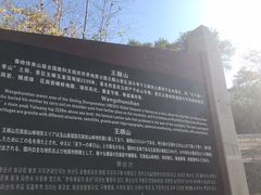 -王顺山国家森林公园