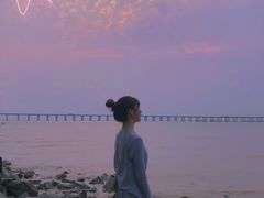 -宝安西湾红树林湿地公园